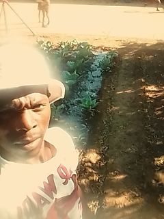 SirJoseph