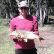 Koos007qvf