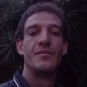 kameelperd_419