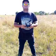 Bosbeer