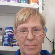 elana123_eng